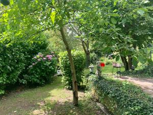 een kleine boom midden in een tuin bij Nieuwhuis Nuth in Nuth