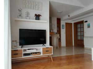 a living room with a flat screen tv on a entertainment center at Apartment Palma in Korčula