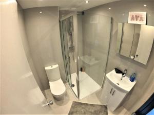 y baño con ducha, aseo y lavamanos. en Town Centre Studio Flat! en Basingstoke