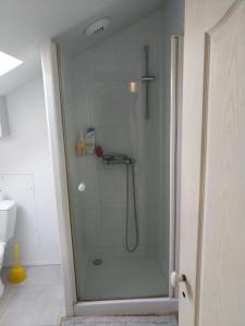 y baño con ducha y puerta de cristal. en Au bon acceuil, en Channay-sur-Lathan