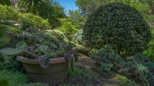 A garden outside Bendita Mare Aparthotel