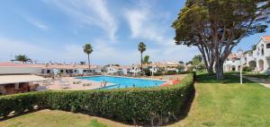 een zwembad in een resort met palmbomen bij Apartamento en Playa Son Bou in Son Bou