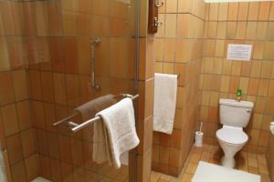 a bathroom with a toilet and a shower with towels at Toverberg Guest Houses in Colesberg