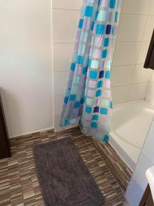 a shower with a shower curtain and a rug in a bathroom at prázdninový domeček Zlámanka in Kroměříž
