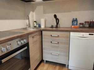 a kitchen with a sink and a dishwasher at Centrum Apartament Old Town in Świdnica