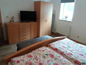 Televízia a/alebo spoločenská miestnosť v ubytovaní Ferienwohnung auf dem Land