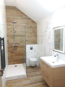 a bathroom with a shower and a toilet and a sink at Villa Carlotta - Sea resort in Dieppe