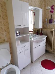 bagno con servizi igienici e lavandino di Apartments Novak a Ljubno