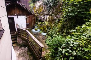 Zahrada ubytování Appartement Fallnhauser - Adults only