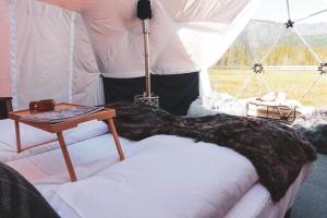 a room with a tent with a bed and a table at Dyrja Domes in Hemsedal