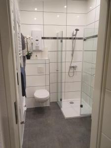 een badkamer met een toilet en een glazen douche bij Ella's Wolke Appartements - EW2 in Zweibrücken