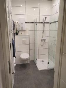 a bathroom with a toilet and a glass shower at Ella's Wolke Appartements - EW2 in Zweibrücken