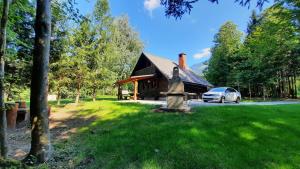 a house with a car parked in front of it at Forrest House in Golnik