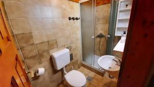 a bathroom with a toilet and a sink at Forrest House in Golnik