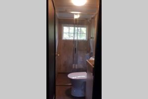 een badkamer met douche, toilet en wastafel bij Nordfjordcabins Utvik in Utvik +39 foto's
