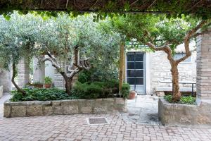 a garden with trees and a bench in front of a building at Country House Casa Lucia in Vodnjan