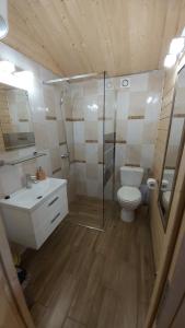 uma casa de banho com um WC, um chuveiro e um lavatório. em APARTAMENT DOMEK CAŁOROCZNY em Ciechocinek