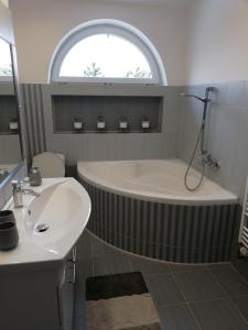 Koupelna v ubytování Apartmány Rosijo