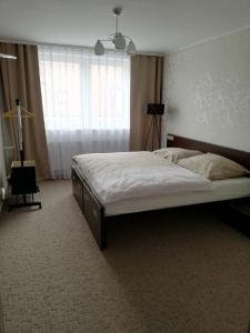 1 dormitorio con 1 cama grande en una habitación en Apartmány Rosijo, en Lednice