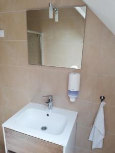 Kúpeľňa v ubytovaní Levanda Panzió