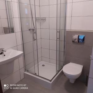 a bathroom with a shower and a toilet and a sink at Apartament Dominikana in Sianozety