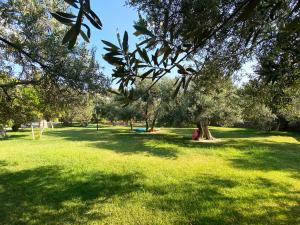 un parco con erba verde e alberi in esso di Assos Park Hotel ad Assos