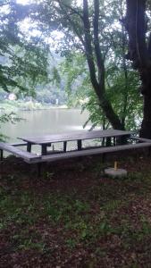 Cabana Fagilor في Someşu Cald: طاولة نزهة جالسة تحت شجرة بجوار بحيرة