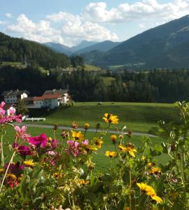 Paesaggio naturale nelle vicinanze dell'appartamento