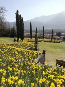 ein Blumenfeld mit einem Brunnen in einem Park in der Unterkunft Bellavista in Porto Valtravaglia