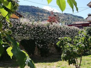 Ein allgemeiner Bergblick oder ein Berglick von der Ferienwohnung aus
