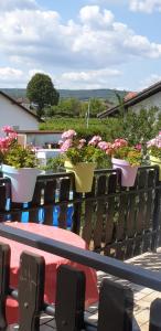 eine Reihe von Topfpflanzen auf dem Balkon in der Unterkunft Ferienwohnung Weingut Leis in Oestrich-Winkel
