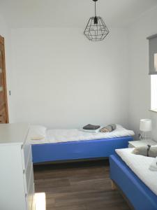 1 dormitorio con 2 camas con colchones azules en Blue house, en Suchedniów