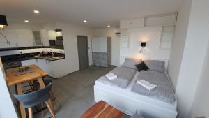 ein Wohnzimmer mit einem Bett und eine Küche in der Unterkunft Magic Apartment centre Pilsen in Pilsen
