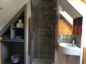 a bathroom with a shower and a sink at Applegrove B&B in Boat of Garten