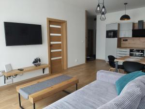 Televízia a/alebo spoločenská miestnosť v ubytovaní Apartmán Bystrina