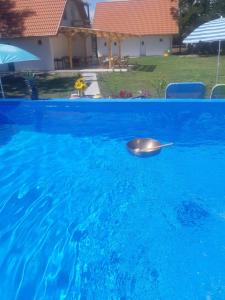 um objecto metálico numa piscina azul em Mirella rooms em Palić