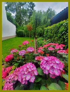 un ramo de flores rosas en un jardín en Kolev Apartments, en Kelsterbach