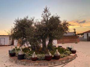 Mrizi i Zanave Agroturizëm外面的花园