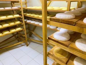 Mrizi i Zanave Agroturizëm客房内的一张或多张双层床