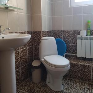 ゲレンジークにあるKrasnaya 21のバスルーム(トイレ、洗面台付)
