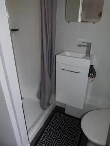 Appart-Hotel Métro D Mermoz Lyon8 في ليون: حمام صغير مع حوض ومرحاض