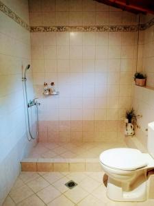 a bathroom with a shower and a toilet at Rebekka's Guest House Elani in Siviri +54 photos