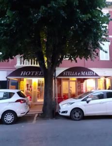 フォッローニカにあるHOTEL MAIDAの白車2台