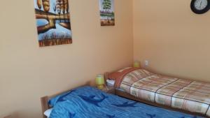 Postel nebo postele na pokoji v ubytování Andi Apartman