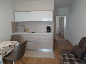 Kuchyň nebo kuchyňský kout v ubytování Apartments EDO
