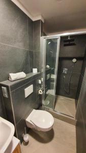 a bathroom with a shower and a toilet and a sink at Magic Apartment centre Pilsen in Pilsen
