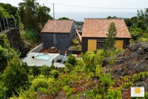 a house with a swimming pool in a garden at Casas do Amarelo in São Mateus