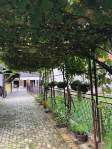 バイナ・バシュタにあるApartmani Jomaの歩道の植木庭園