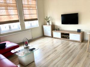 a living room with a couch and a television at Long Island in Grudziądz