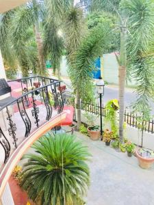 an overhead view of a balcony with palm trees at Senthil Complex in Jaffna